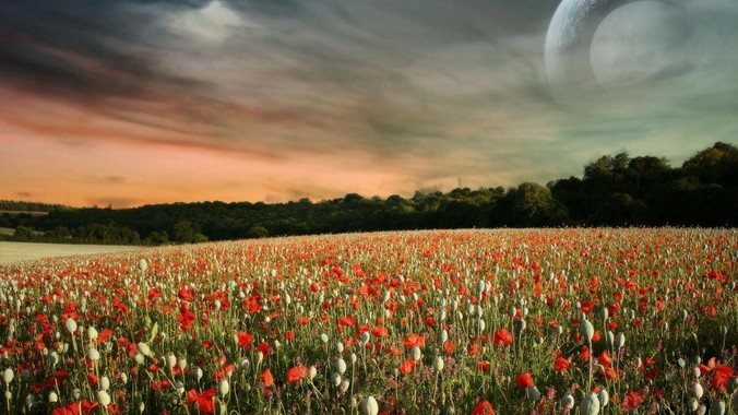 如何评价网传鸿蒙 PC 成功裸机启动 Windows ARM?